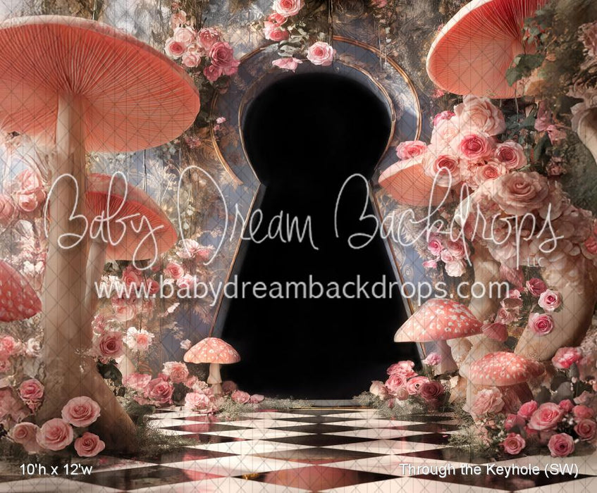 Through the Keyhole (SW)