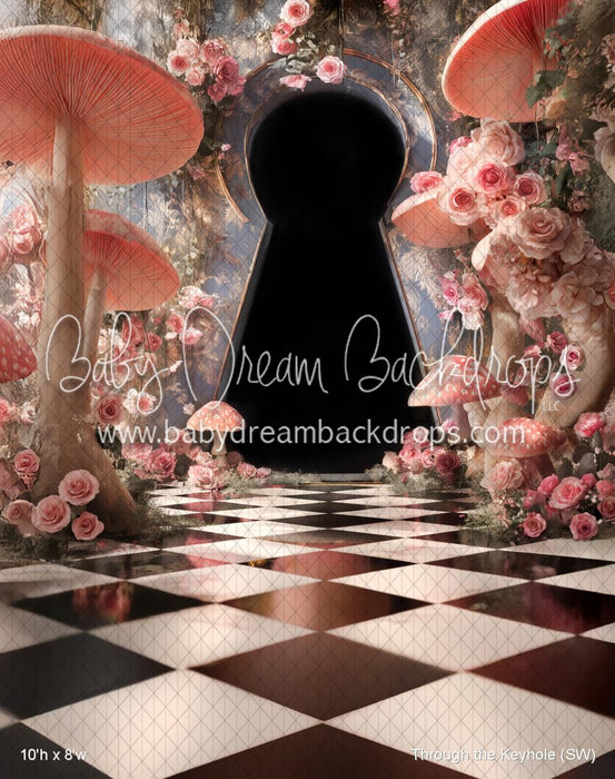 Through the Keyhole (SW)