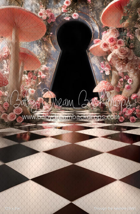 Through the Keyhole (SW)