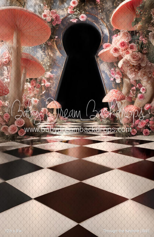 Through the Keyhole (SW)