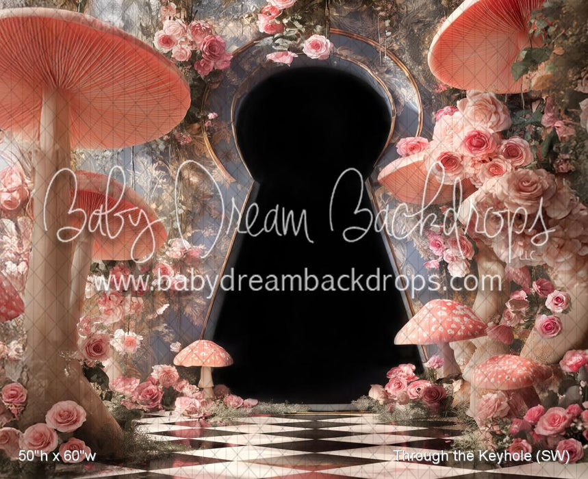 Through the Keyhole (SW)