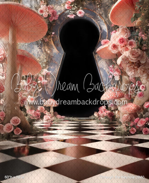 Through the Keyhole (SW)