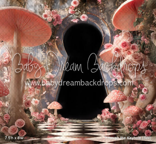 Through the Keyhole (SW)