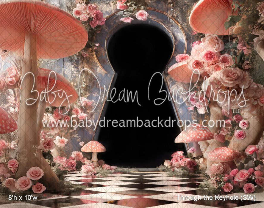 Through the Keyhole (SW)