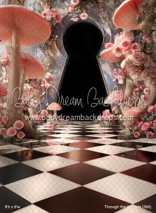 Through the Keyhole (SW)