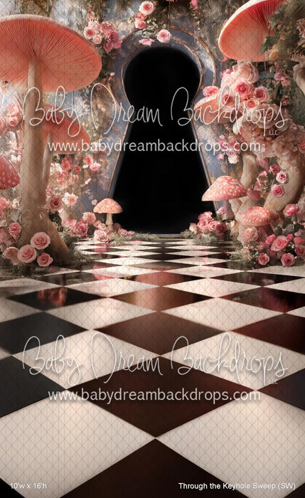 Through the Keyhole Sweep (SW)