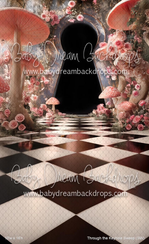 Through the Keyhole Sweep (SW)