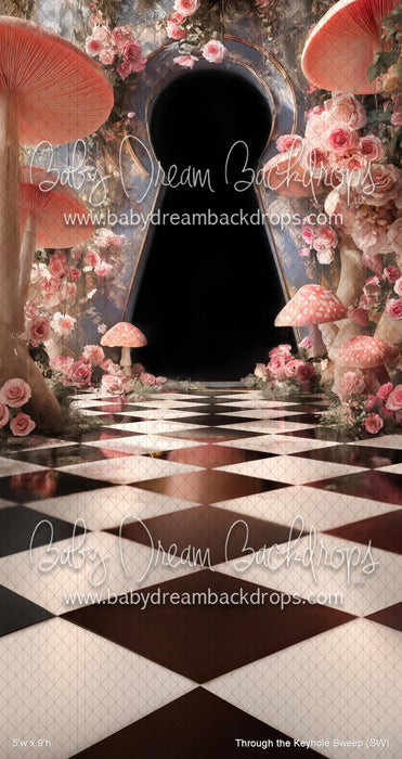 Through the Keyhole Sweep (SW)