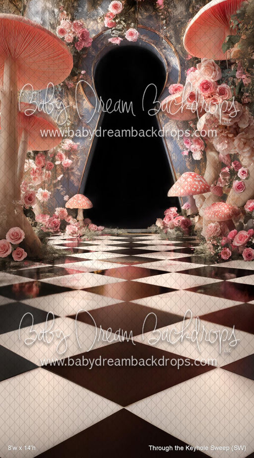 Through the Keyhole Sweep (SW)