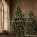 Timber Loft Christmas (CC)