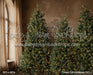 Timber Loft Christmas (CC)