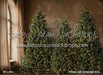 Timber Loft Christmas (CC)
