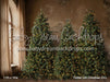 Timber Loft Christmas (CC)