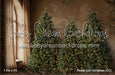 Timber Loft Christmas (CC)