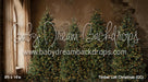 Timber Loft Christmas (CC)