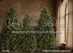 Timber Loft Christmas Flipped (CC)
