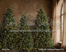 Timber Loft Christmas Flipped (CC)