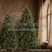 Timber Loft Christmas Flipped (CC)
