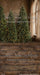 Timber Loft Christmas Flipped Sweeps (CC)