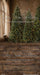 Timber Loft Christmas Sweeps (CC)