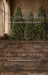Timber Loft Christmas Sweeps (CC)