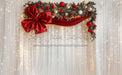 Tinsel Tie Twinkle Curtain (JA)