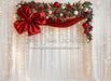 Tinsel Tie Twinkle Curtain (JA)