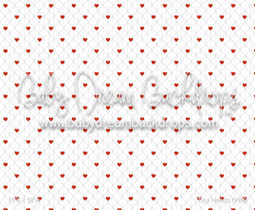 Tiny Hearts (WM)