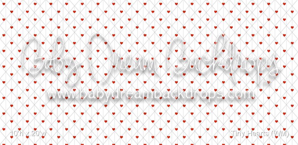 Tiny Hearts (WM)