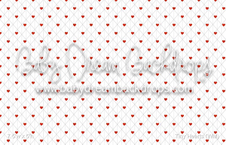 Tiny Hearts (WM)