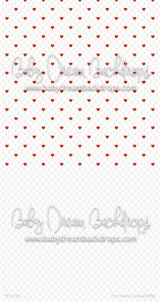 Tiny Hearts Sweep (WM)