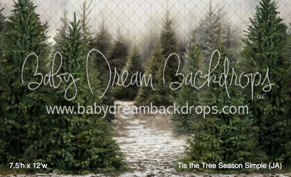 Tis the Tree Season Simple (JA)