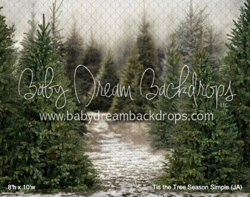 Tis the Tree Season Simple (JA)