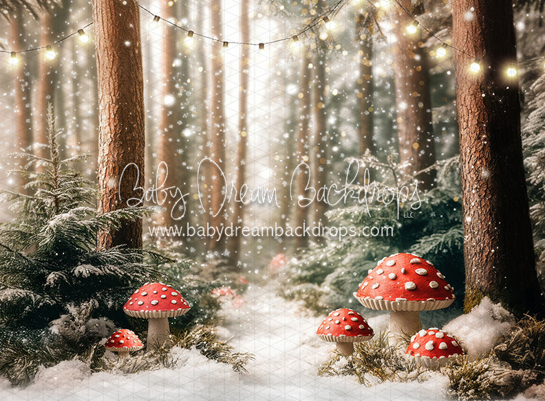 Toadstool Tidings (lights) (JA)