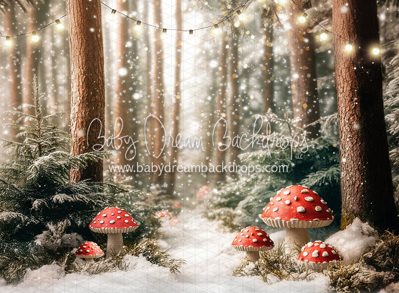 Toadstool Tidings (lights) (JA)
