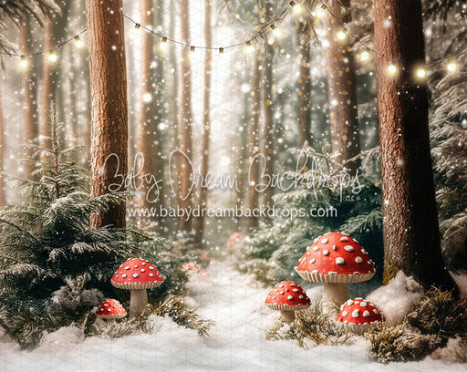 Toadstool Tidings (lights) (JA)