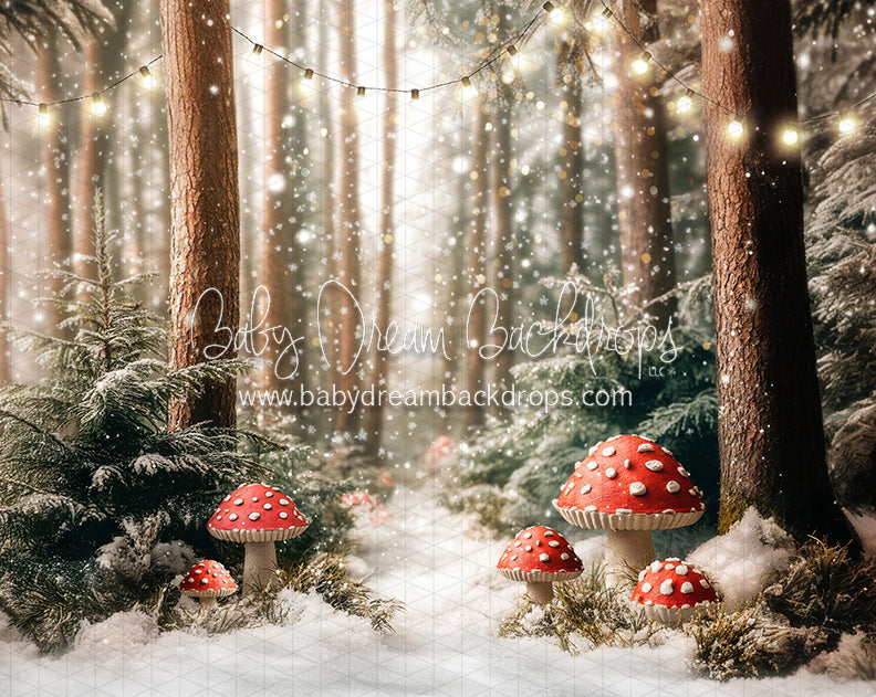 Toadstool Tidings (lights) (JA)