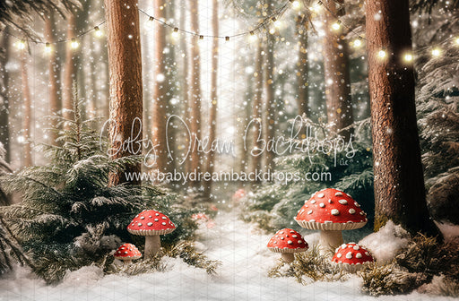 Toadstool Tidings (lights) (JA)