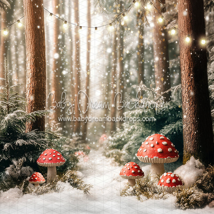 Toadstool Tidings (lights) (JA)