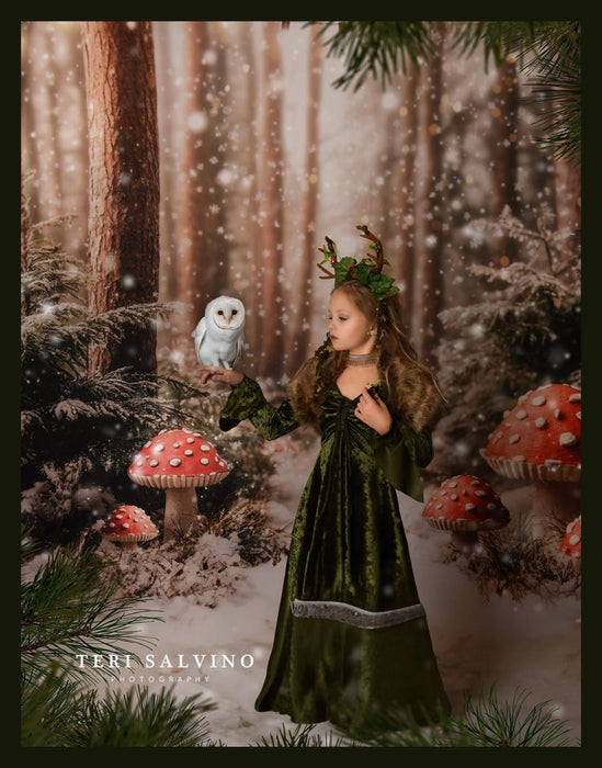 Toadstool Tidings (lights) (JA)