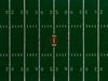 Touchdown Field (JG)