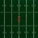 Touchdown Field (JG)