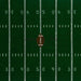Touchdown Field (JG)