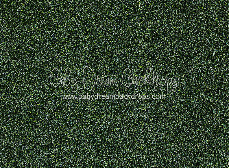 Tough Turf Evening Grass (CC)