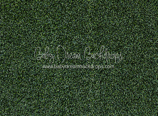 Tough Turf Evening Grass (CC)