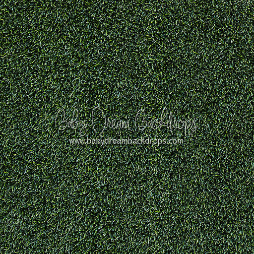 Tough Turf Evening Grass (CC)