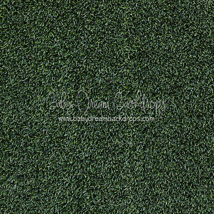 Tough Turf Evening Grass (CC)