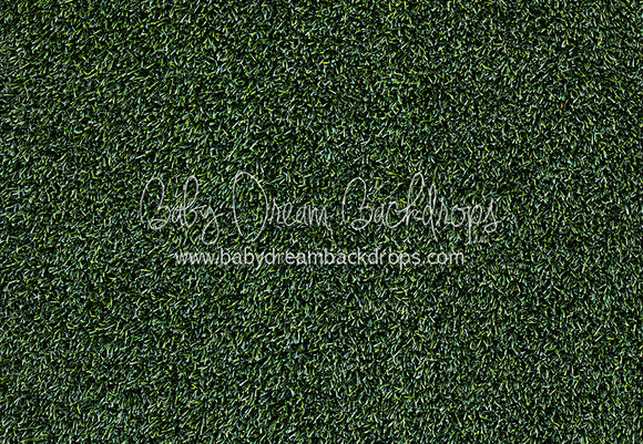 Tough Turf Evening Grass Floor (CC)