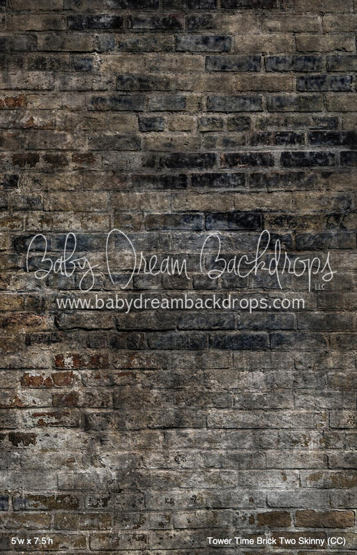 Tower Time Brick Two Skinny (CC)