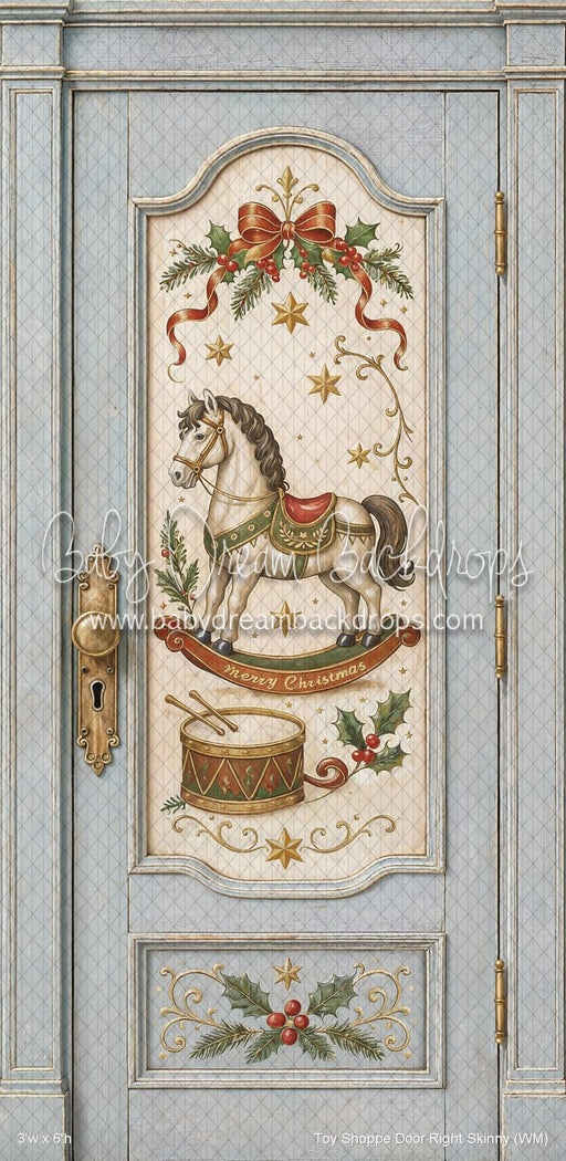 Toy Shoppe Door Right Skinny (WM)
